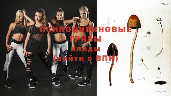 скорость Богородицк