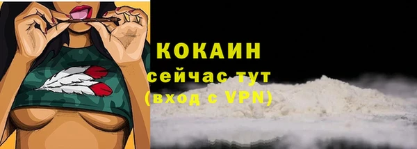 эйфоретик Богородск