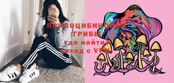 скорость Богородицк