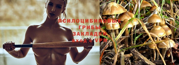 скорость Богородицк