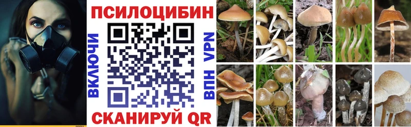 Купить закладки  Родники  Псилоцибиновые грибы мицелий 
