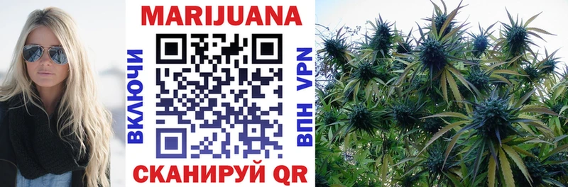 Бошки Шишки OG Kush  Купить закладки  Родники 